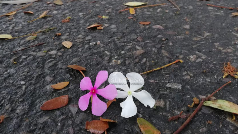ছবি: রাকিব হাসান