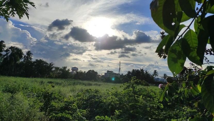 ছবি : আশিস বোস।