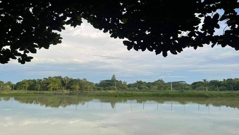পুবাইলের বিকেল...সাকিন সারিসুরির সেই গ্রাম। ছবি : অভিনেতা চঞ্চল চৌধুরীর ফেসবুক টাইমলাইন থেকে নেয়া।