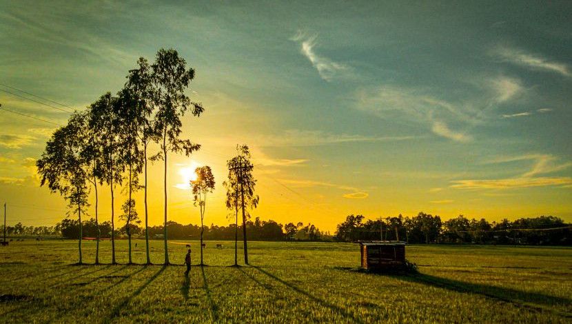 পড়ন্ত বিকালের গল্প। 
জামালপুর, বাংলাদেশ। ছবি: তাহামিদ