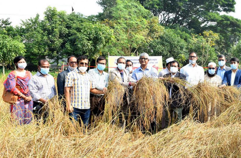 গবেষণার সাফল্য যেন সাধারণ মানুষের কল্যাণে  আসে : খুবি উপাচার্য