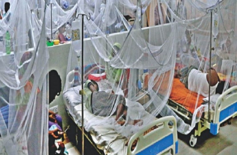 সাত মাসে চার হাজার ডেঙ্গু রোগী হাসপাতালে