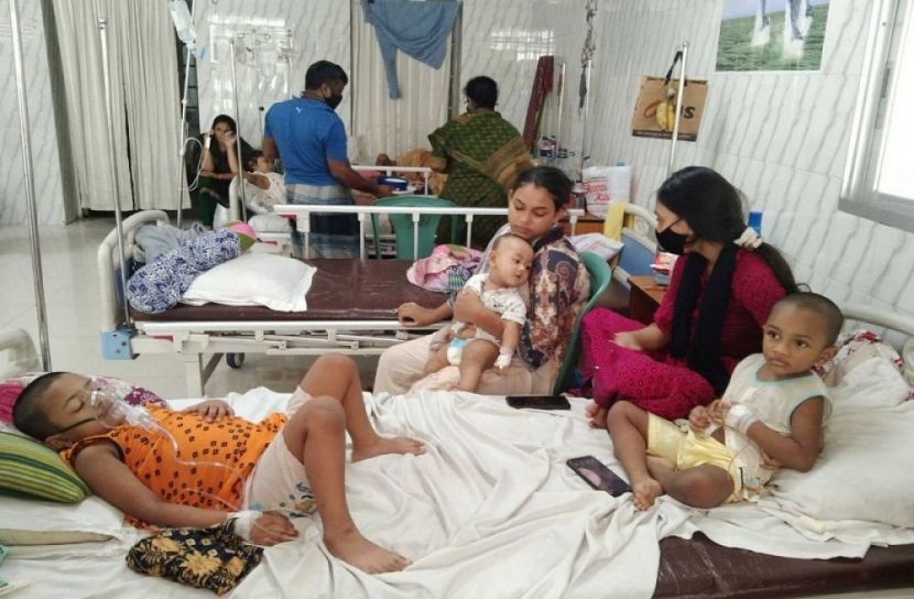 ডেঙ্গু আক্রান্ত হয়ে মৃত্যু ১, শনাক্ত ২৫২  
