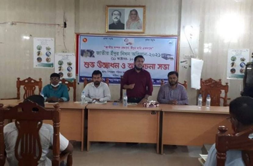 ইঁদুর