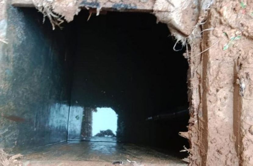 ছবি সংগৃহীত