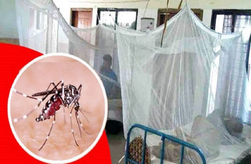 দেশ জুড়ে বাড়ছে ডেঙ্গু রোগী