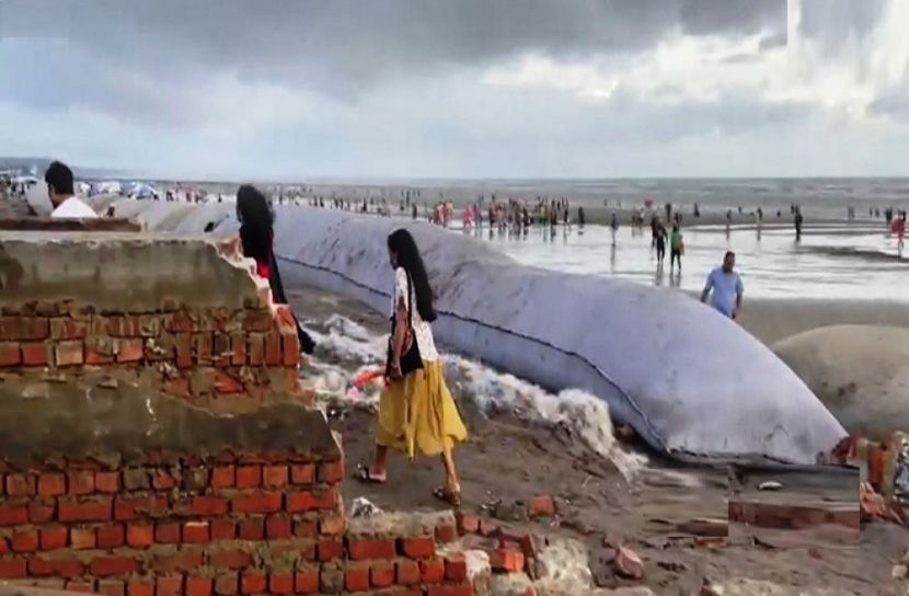 সৈকতে জিও টিউব বসানোর কাজ চলছে