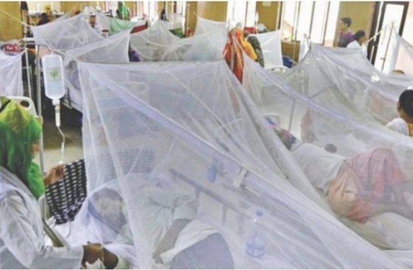 ডেঙ্গুতে ৫ জনের প্রাণহানি