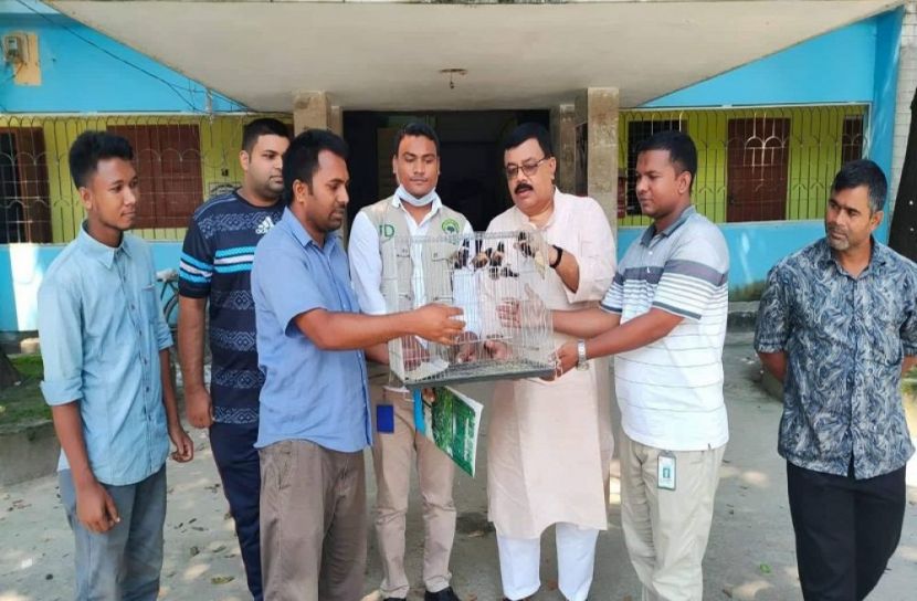 মুক্ত আকাশে ডানা মেলল মুনিয়া পাখি