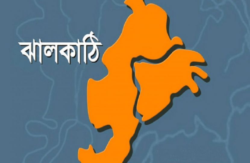 জেলা পরিষদ নির্বাচনে আ'লীগ প্রার্থী বেসরকারিভাবে নির্বাচিত