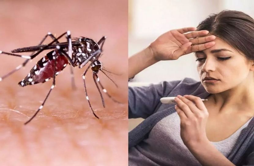 প্রতীকী ছবি