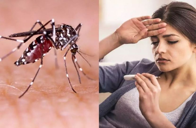 প্রতীকী ছবি