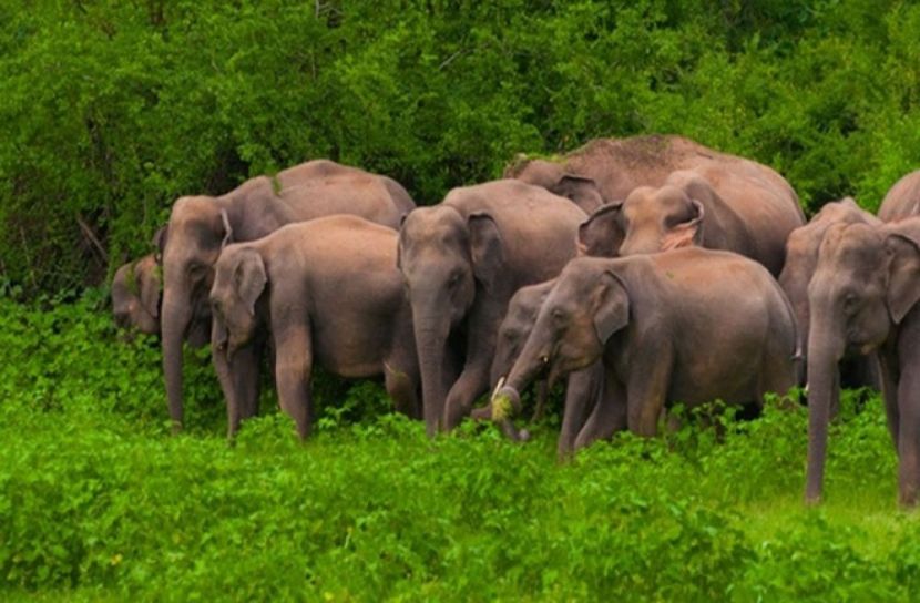 প্রতীকী ছবি