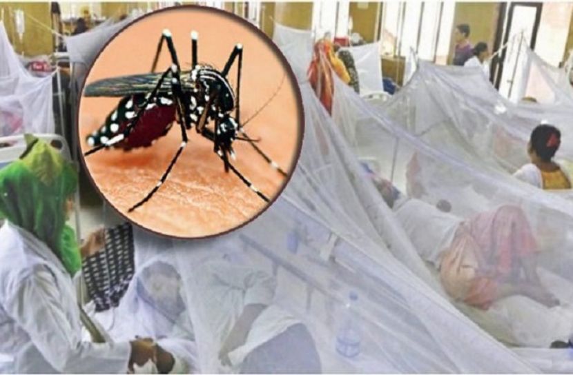 ডেঙ্গুতে আক্রান্ত আরও ৬৮৫