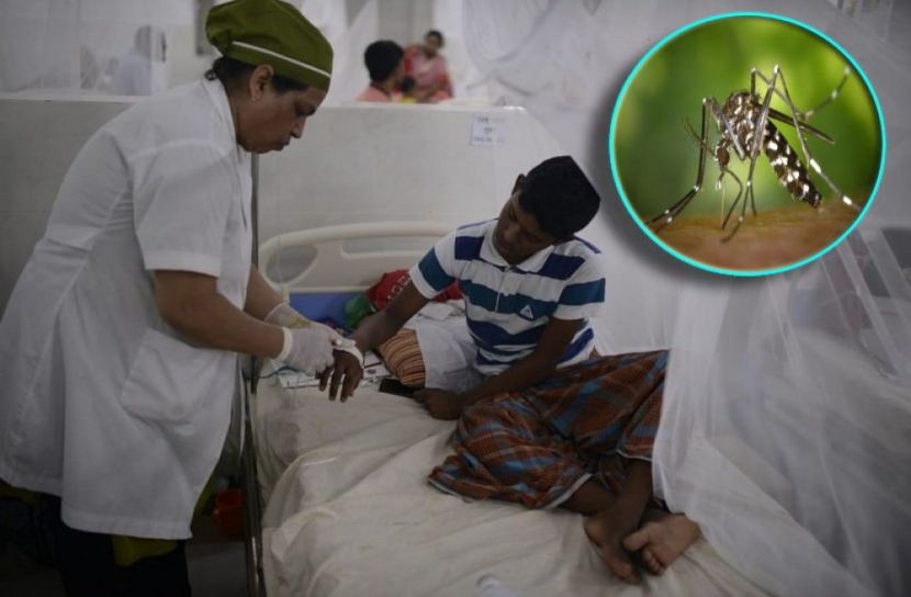 আরও ৩৫১ হাসপাতালে ভর্তি