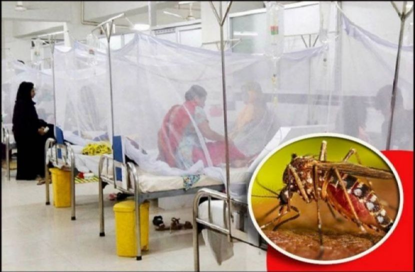 ডেঙ্গুতে আরও ৩ জনের মৃত্যু