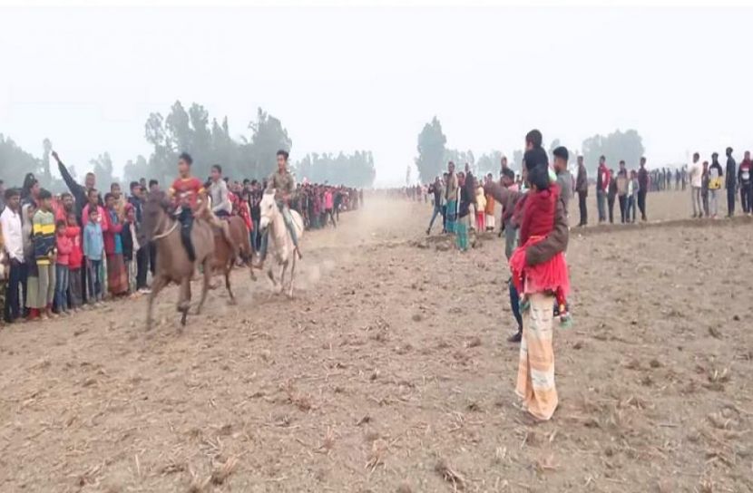 পলাশবাড়ীতে ঘোড়ার দৌড় প্রতিযোগিতা অনুষ্ঠিত