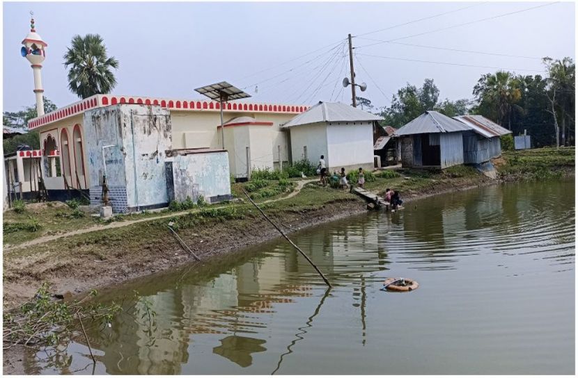 ছবি : সংগৃহিত