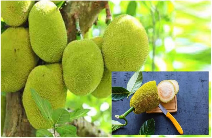 ছবি : সংগৃহিত