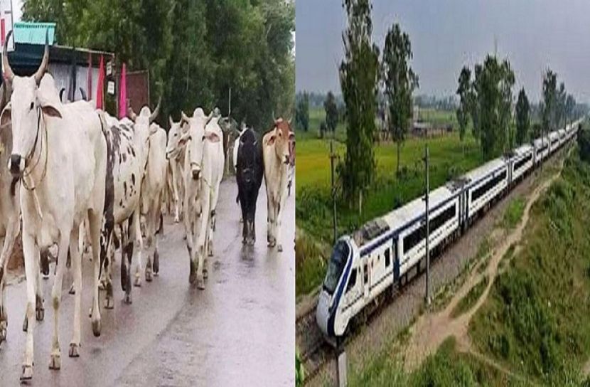 ছবি : সংগৃহিত