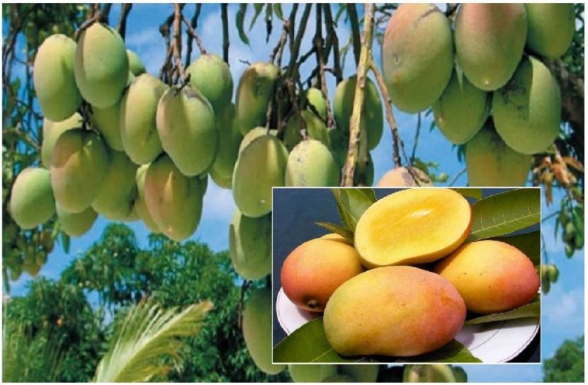 ছবি : সংগৃহিত