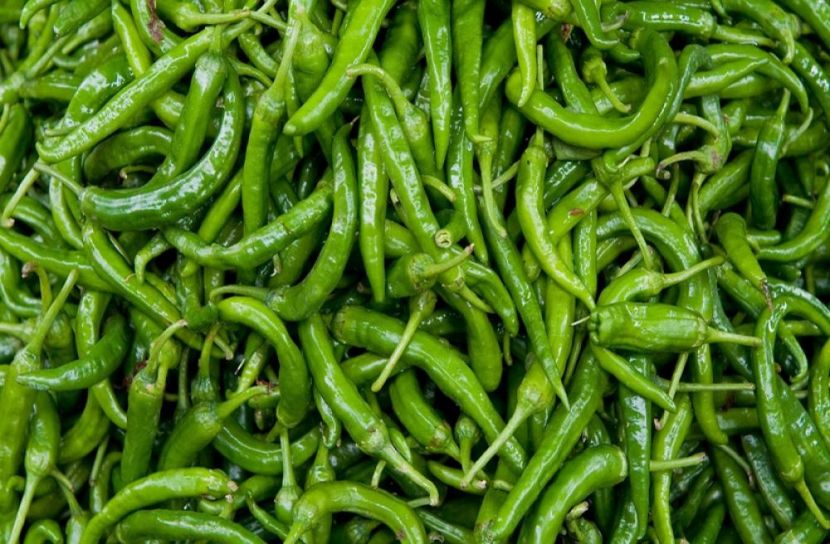 ছবি-সংগৃহীত