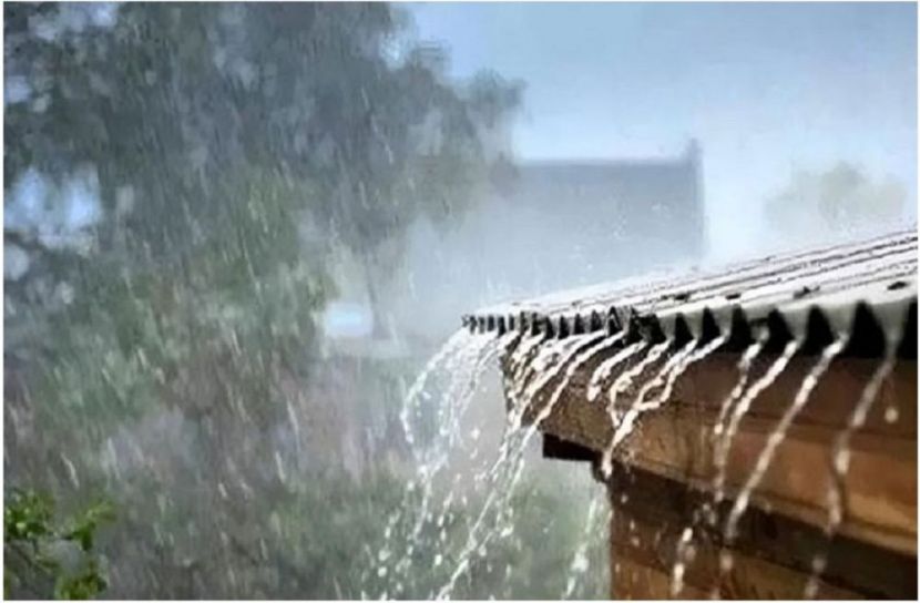 ফাইল ফটো