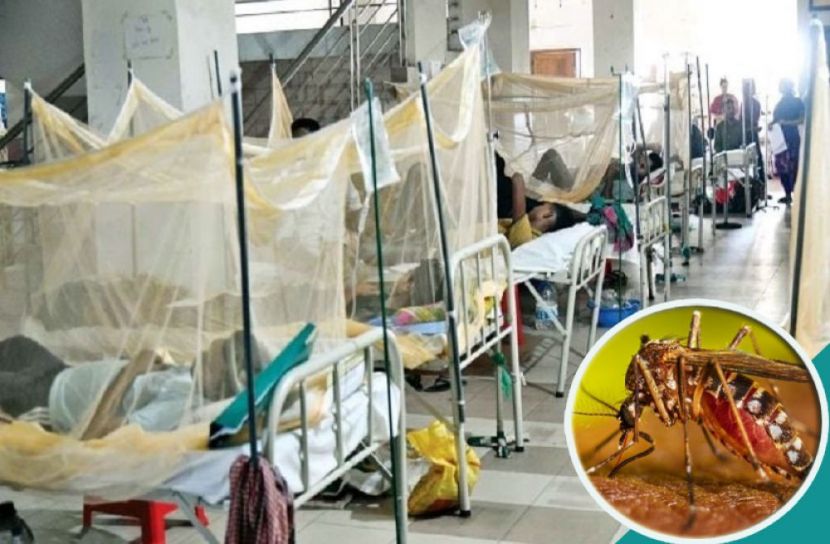 একদিনে ৮ মৃত্যু, হাসপাতালে ১৭৯৩