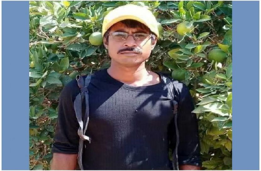 সংগৃহীত