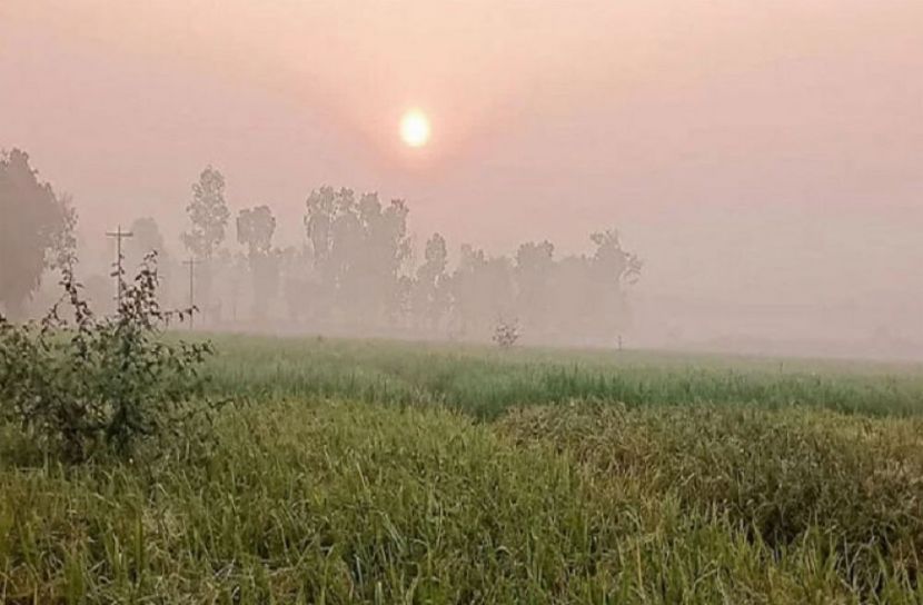সংগৃহীত ছবি