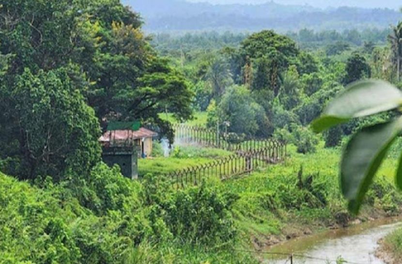 সংগৃহীত