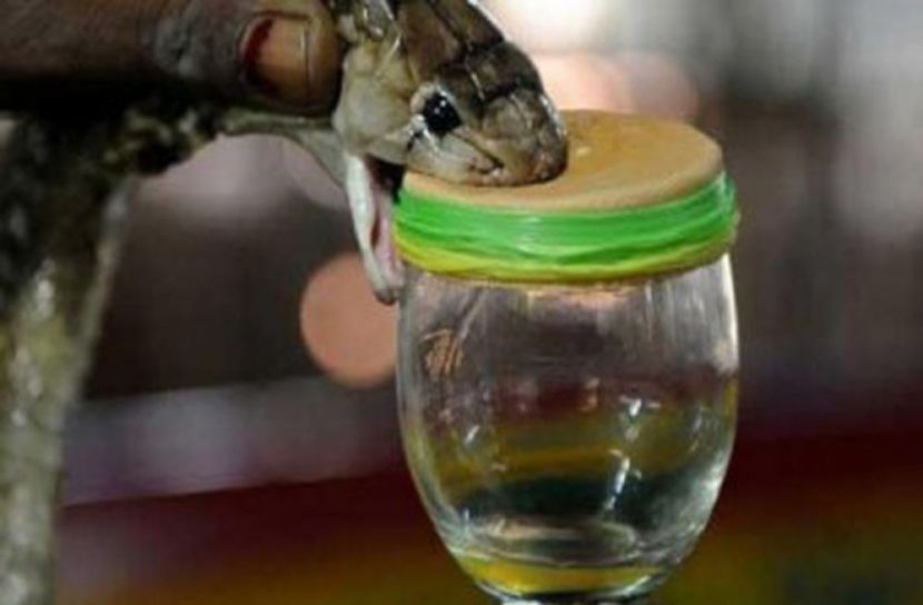 সংগৃহিত ছবি