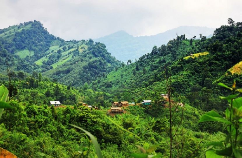 সংগৃহীত ছবি