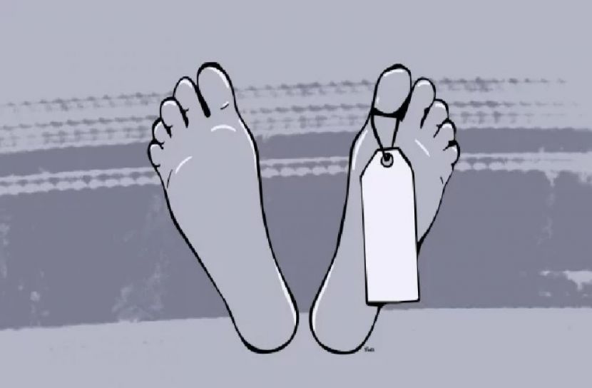 সংগৃহীত