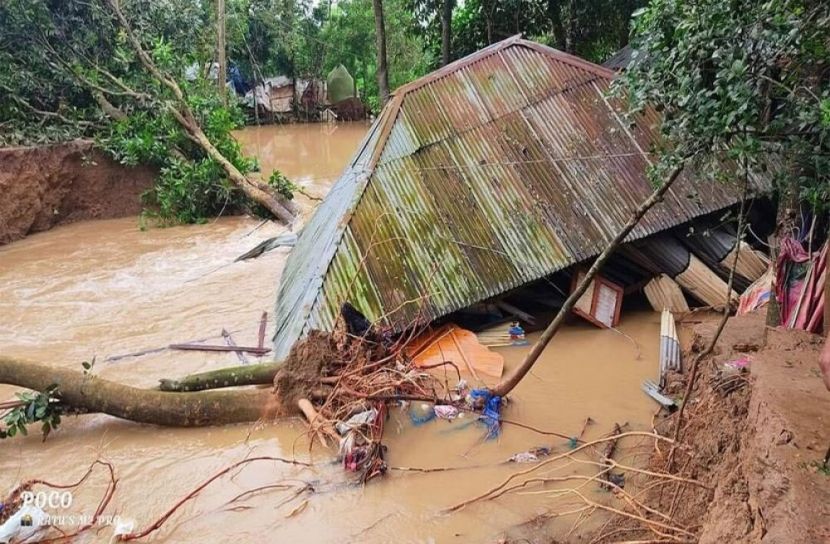 সংগৃহীত ছবি