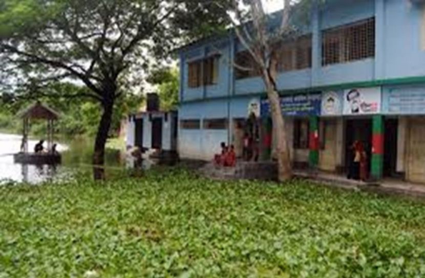 সংগৃহিত ছবি