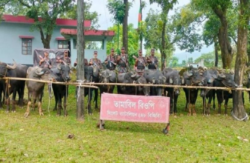 সংগৃহীত ছবি