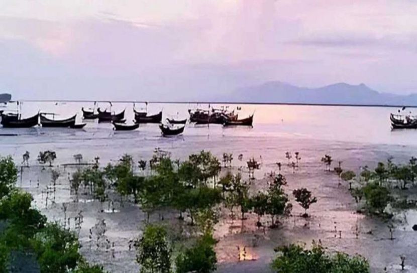 সংগৃহীত ছবি