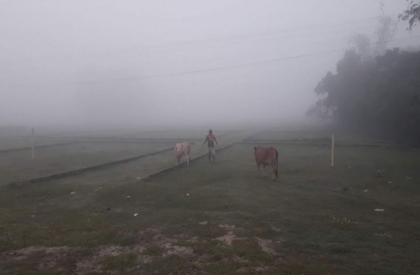 সংগৃহীত ছবি