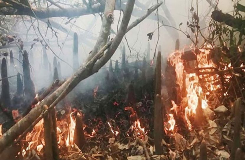 সংগৃহিত ছবি