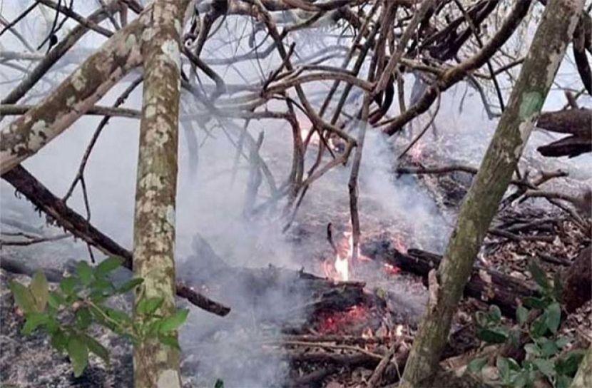 সংগৃহিত ছবি