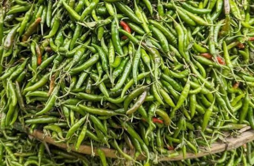 ছবি: সংগৃহিত