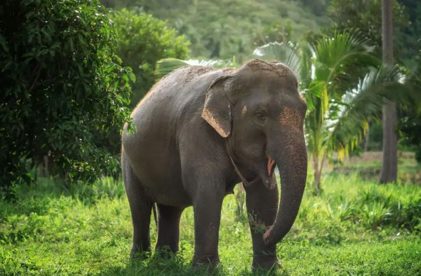 ছবি: সংগৃহিত