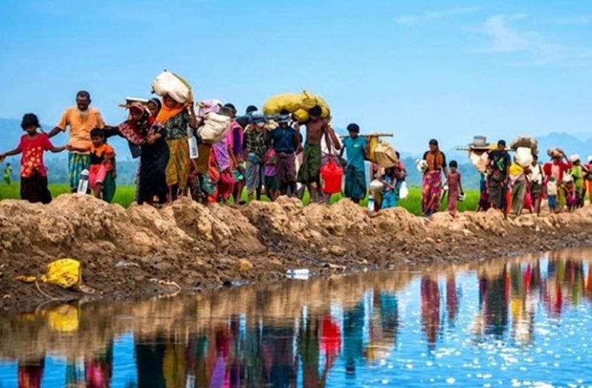 সংগৃহীত