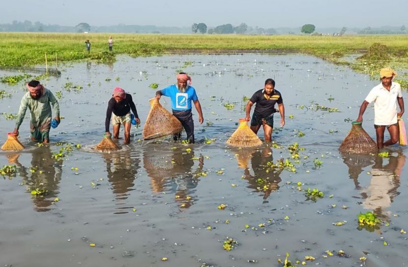 বোয়ালমারীতে ঐতিহ্য বাঁচাতে পলো-হোঁচা দিয়ে মাছ ধরার উৎসব